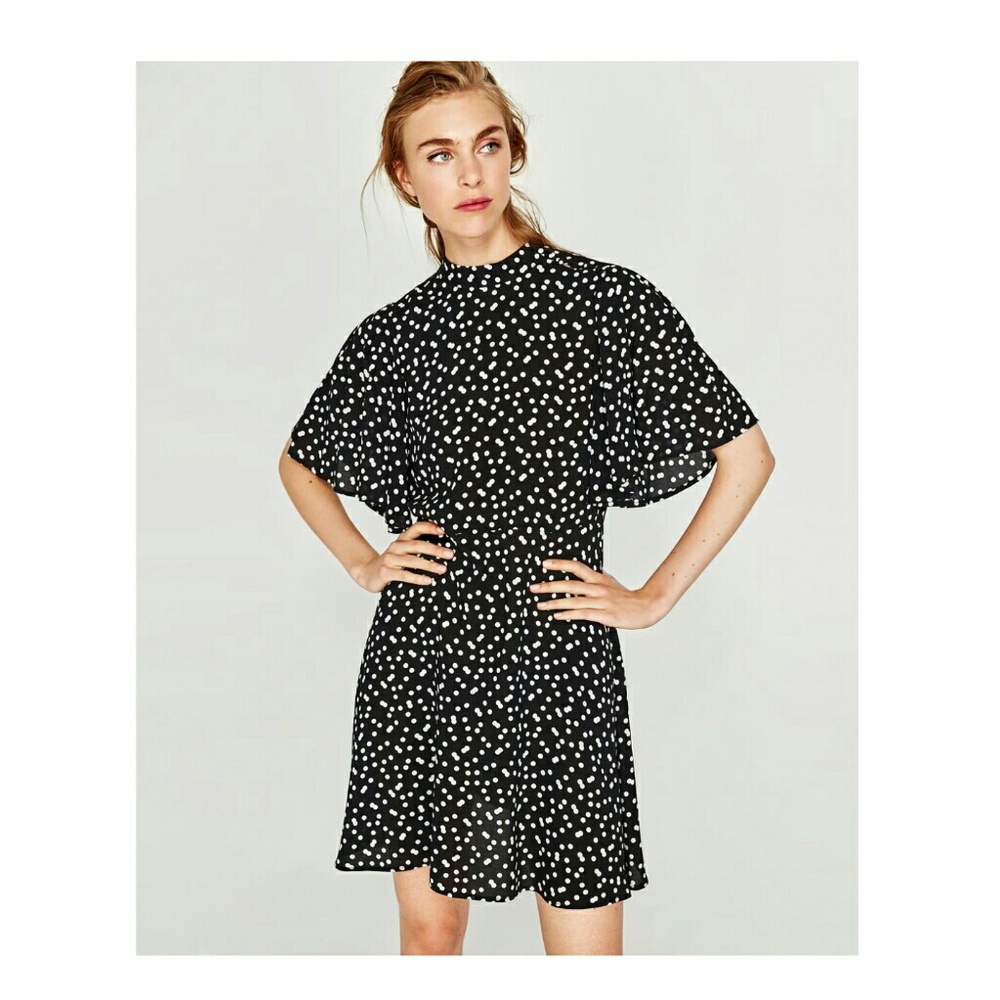 ISO Zara Polka Dot Dress